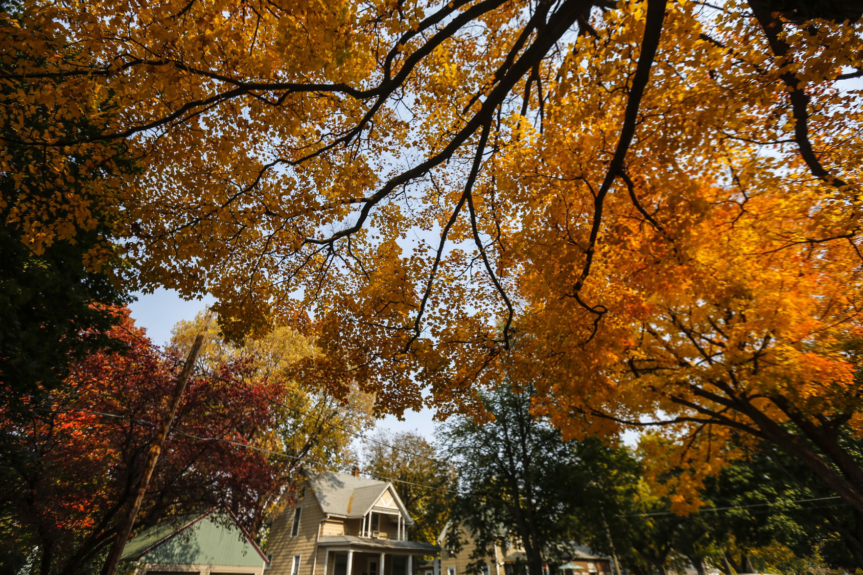 Fall Colors 1